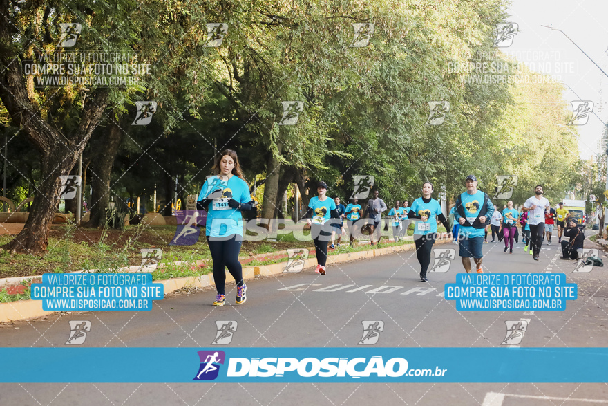 2ª (AMP) Run 