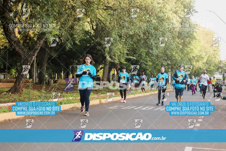 2ª (AMP) Run 