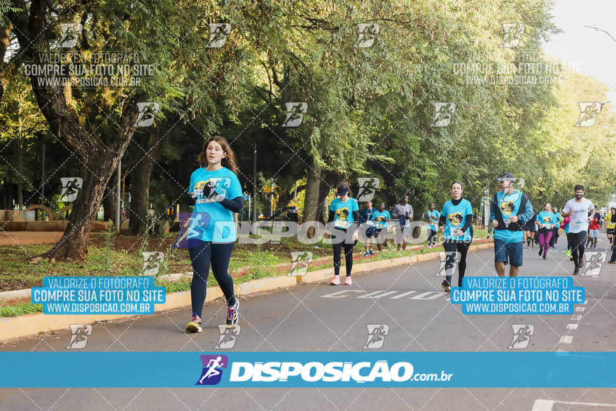 2ª (AMP) Run 