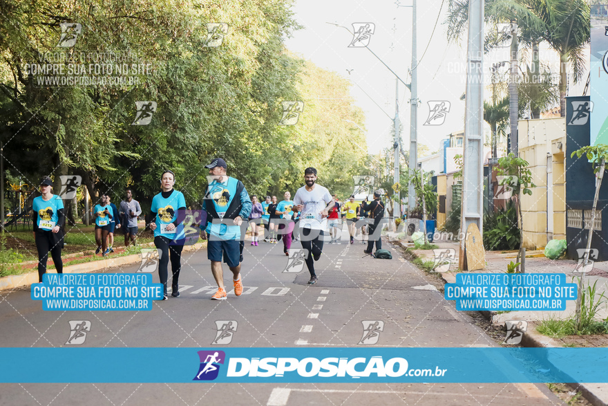 2ª (AMP) Run 