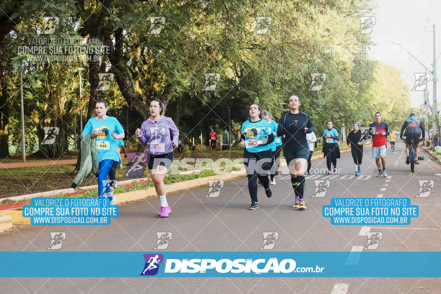 2ª (AMP) Run 