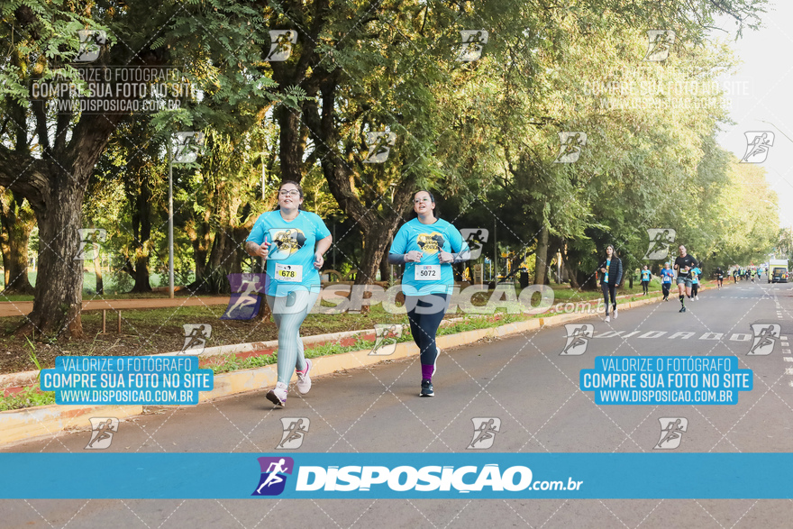 2ª (AMP) Run 