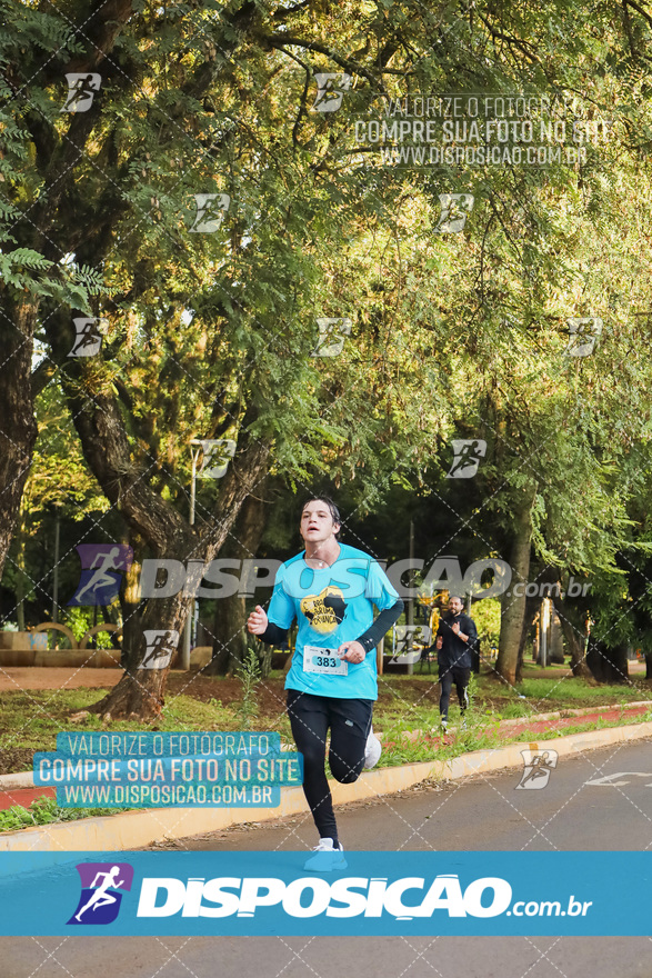 2ª (AMP) Run 