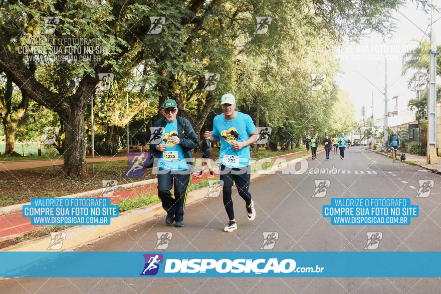 2ª (AMP) Run 