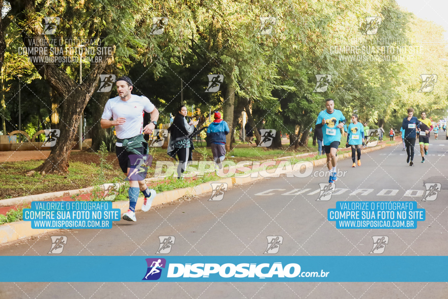 2ª (AMP) Run 