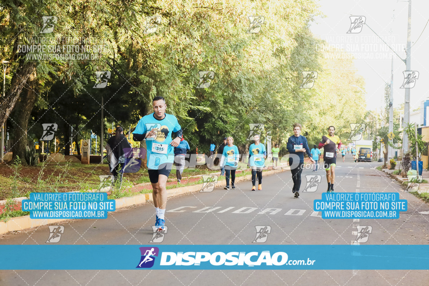 2ª (AMP) Run 