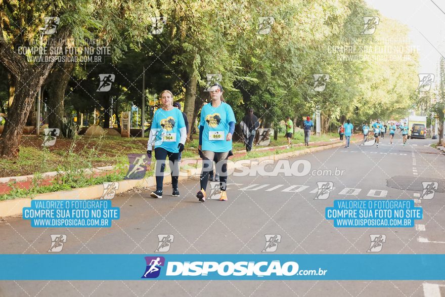 2ª (AMP) Run 