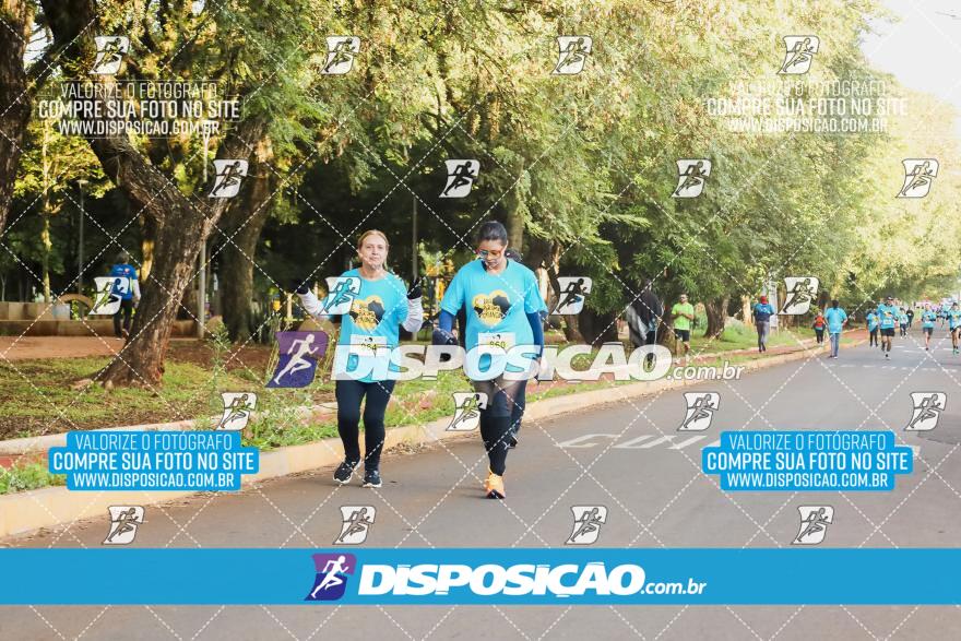 2ª (AMP) Run 