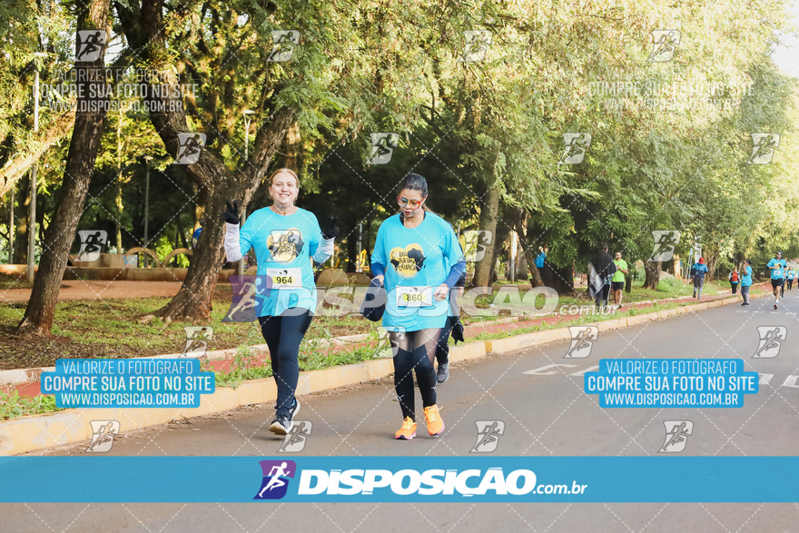 2ª (AMP) Run 