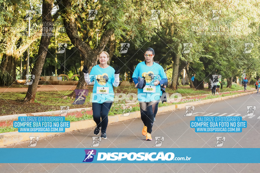 2ª (AMP) Run 