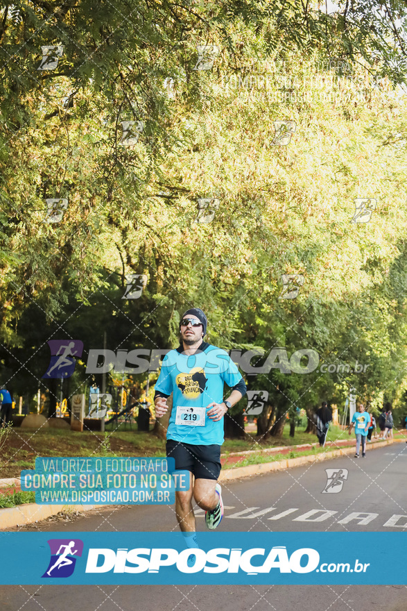 2ª (AMP) Run 