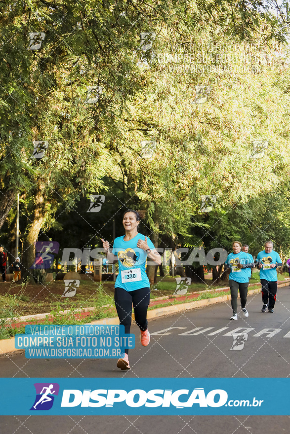 2ª (AMP) Run 