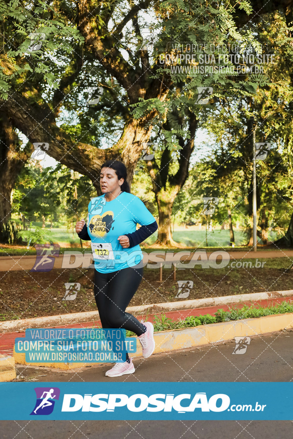 2ª (AMP) Run 