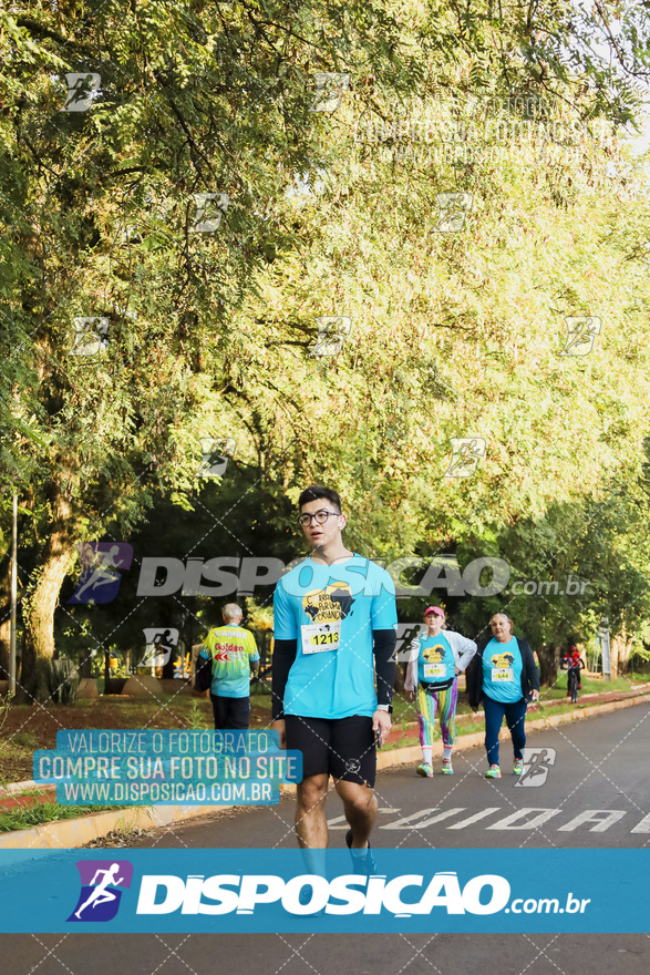 2ª (AMP) Run 