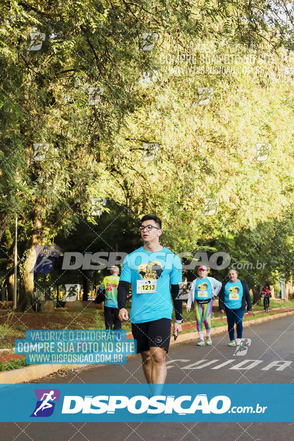 2ª (AMP) Run 