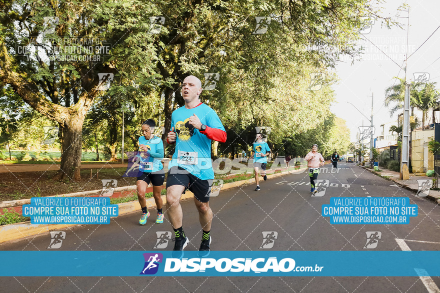 2ª (AMP) Run 