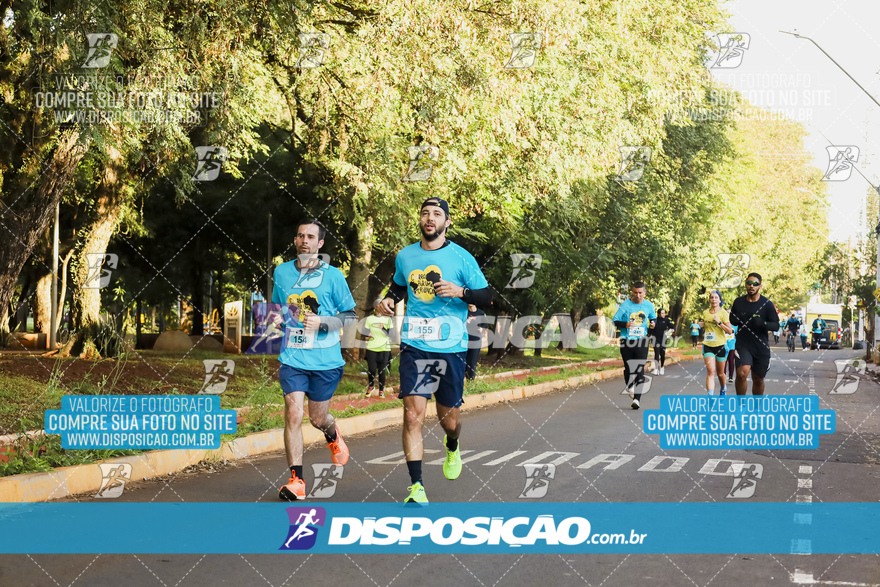 2ª (AMP) Run 