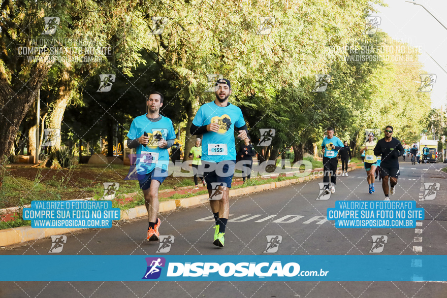 2ª (AMP) Run 