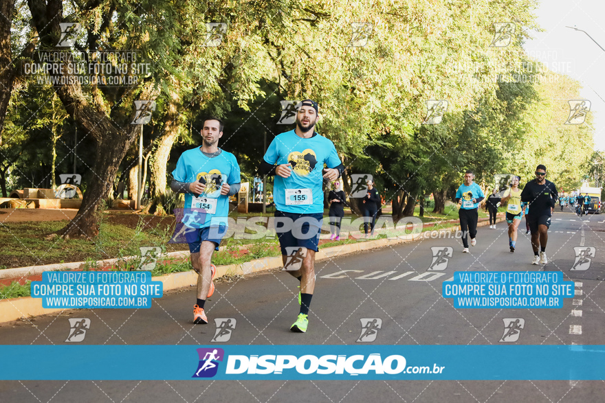 2ª (AMP) Run 