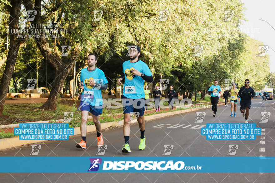 2ª (AMP) Run 