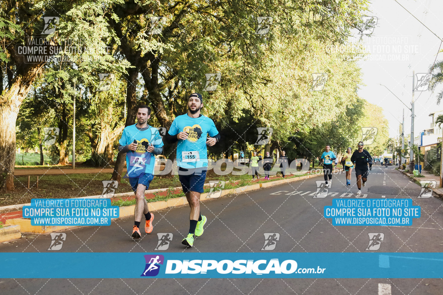 2ª (AMP) Run 