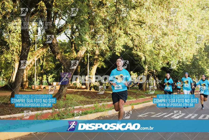 2ª (AMP) Run 