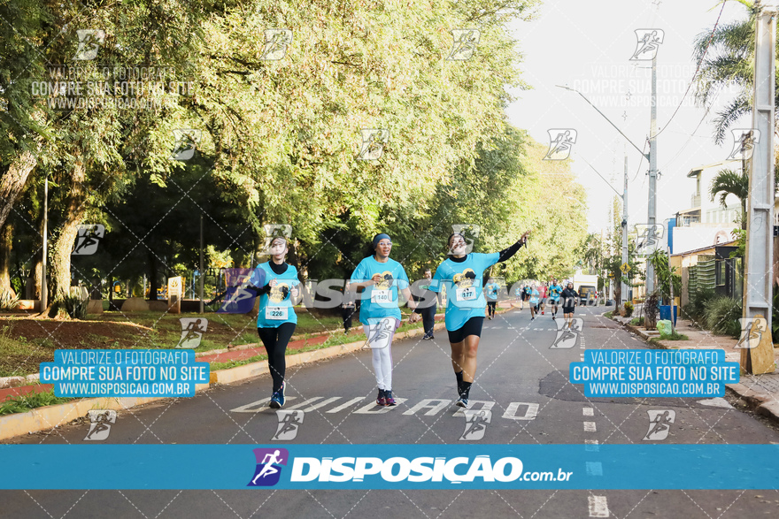 2ª (AMP) Run 