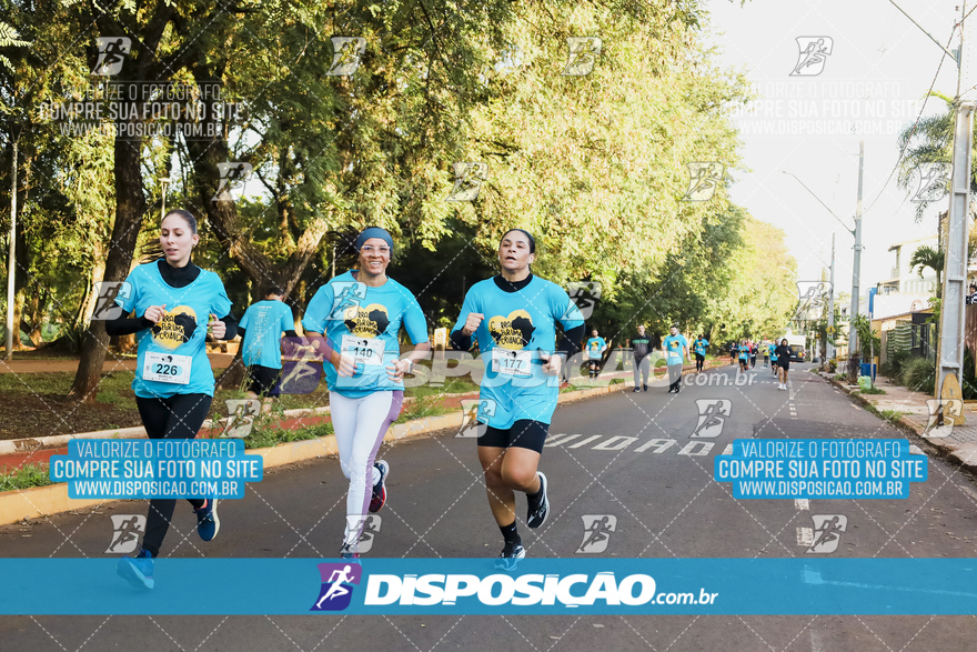 2ª (AMP) Run 