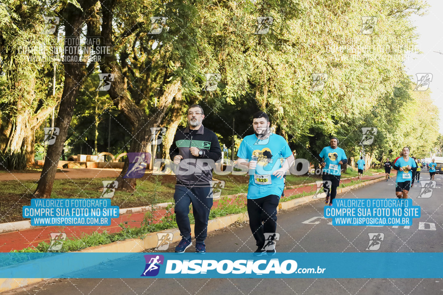 2ª (AMP) Run 