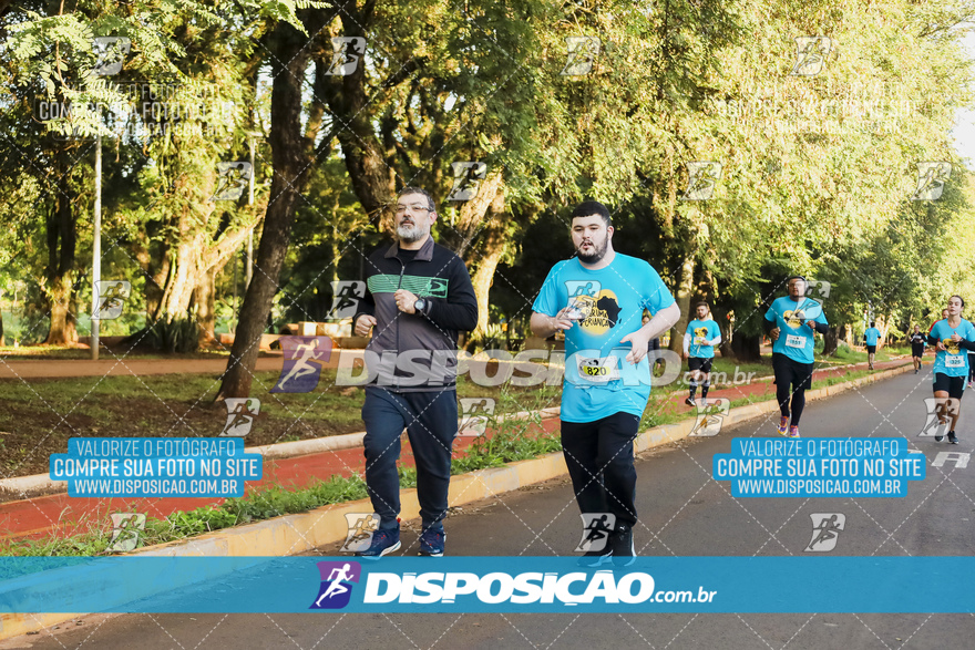 2ª (AMP) Run 