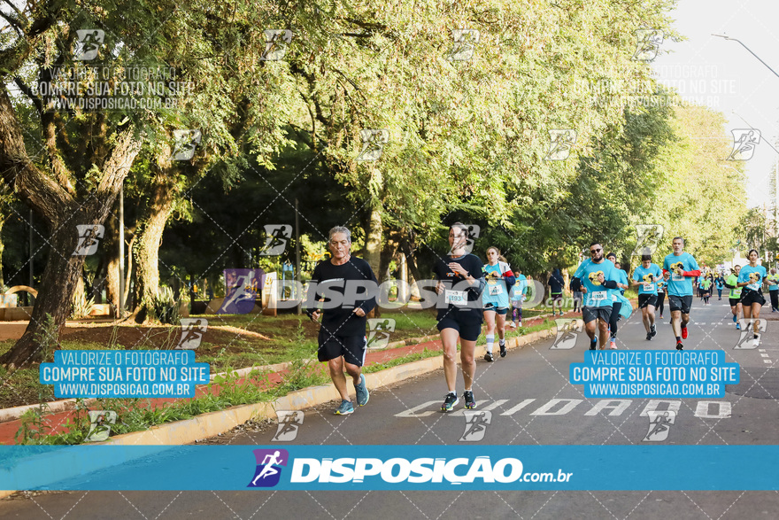 2ª (AMP) Run 