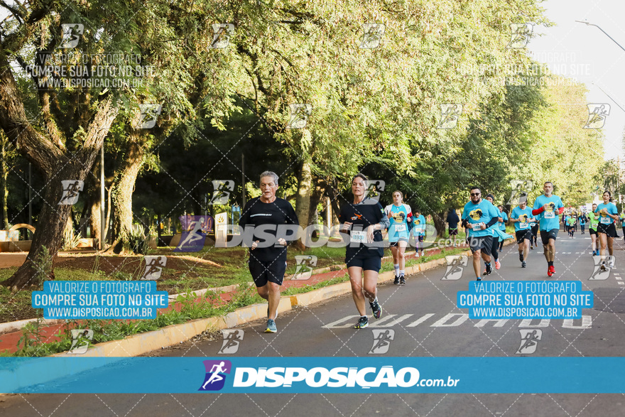 2ª (AMP) Run 