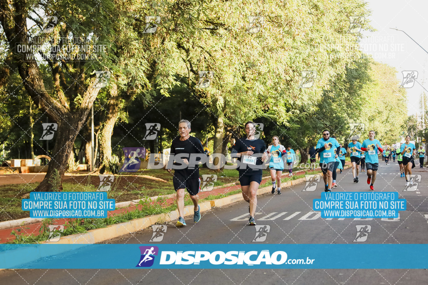 2ª (AMP) Run 