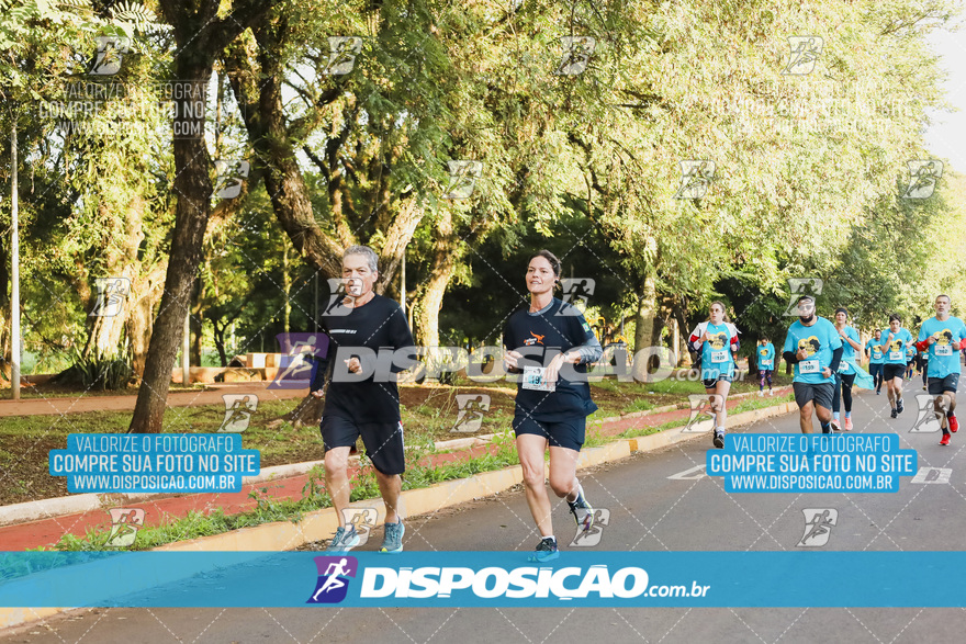 2ª (AMP) Run 