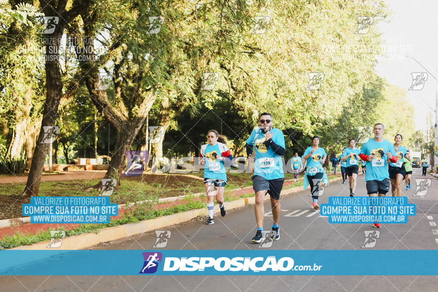 2ª (AMP) Run 