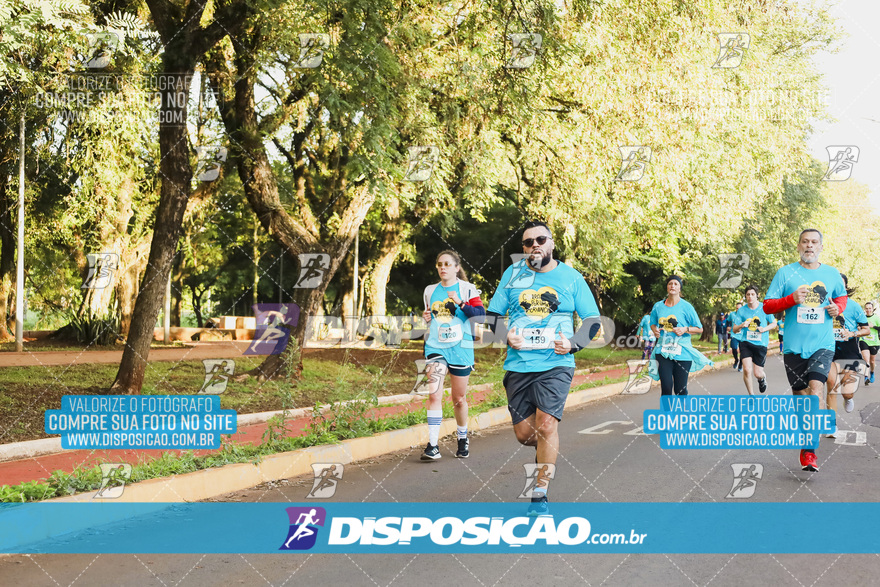 2ª (AMP) Run 