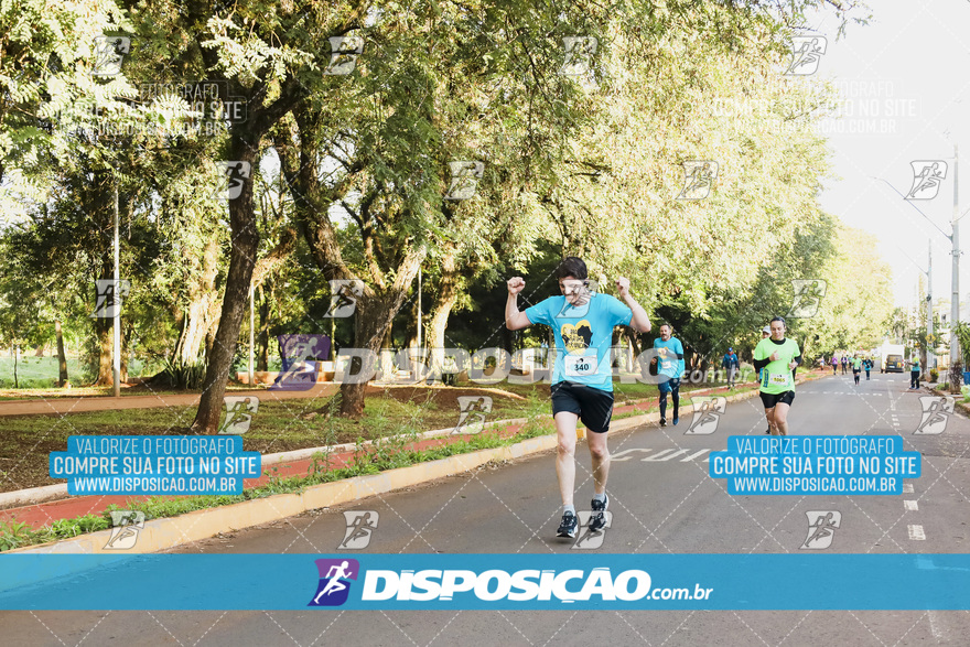 2ª (AMP) Run 