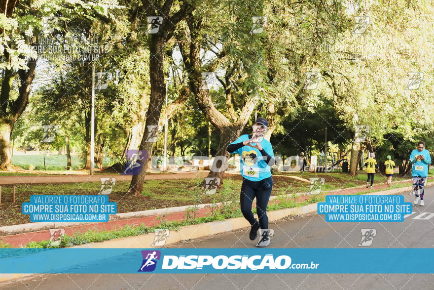 2ª (AMP) Run 