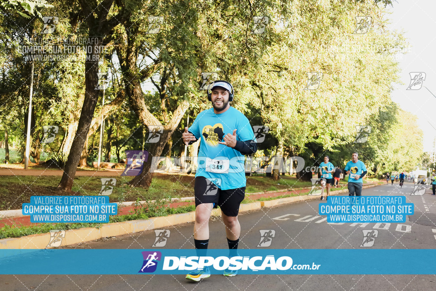 2ª (AMP) Run 