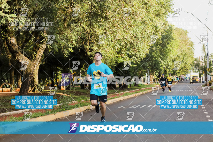 2ª (AMP) Run 