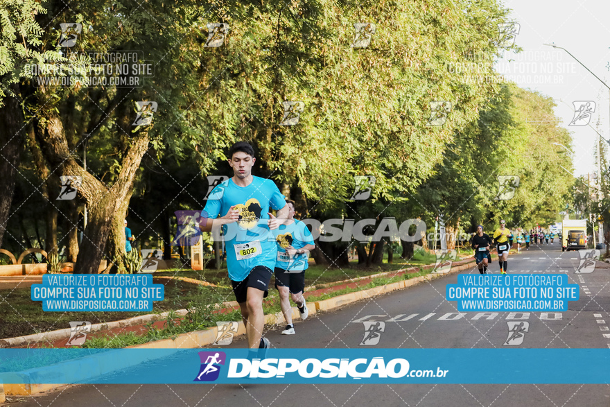 2ª (AMP) Run 