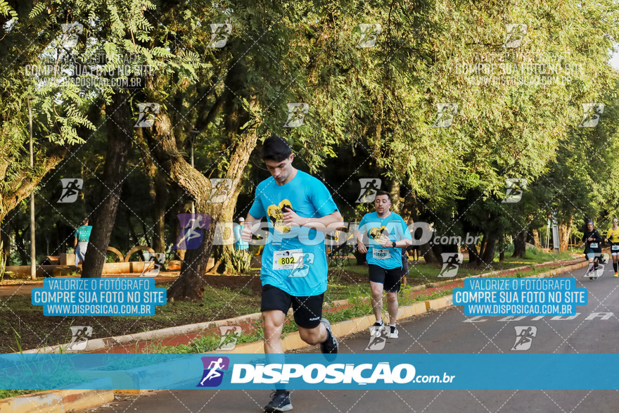 2ª (AMP) Run 