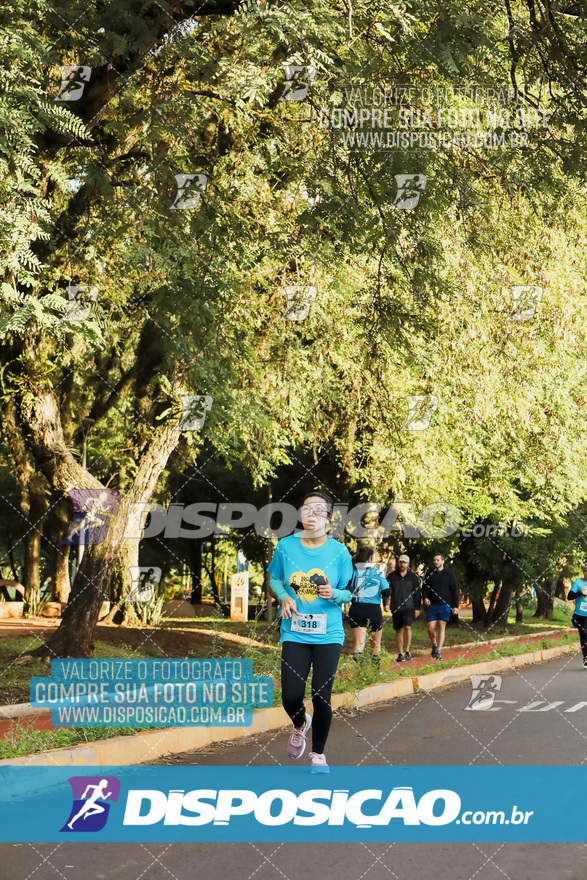 2ª (AMP) Run 