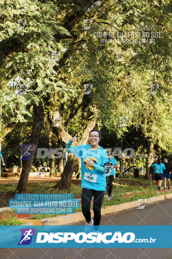 2ª (AMP) Run 