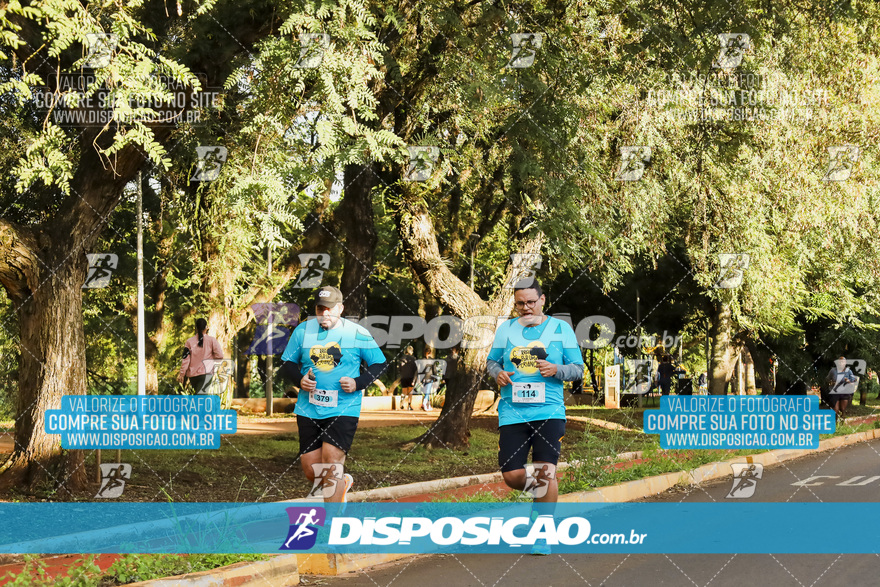 2ª (AMP) Run 