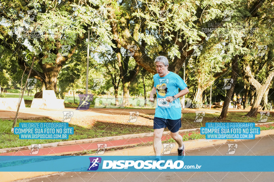 2ª (AMP) Run 