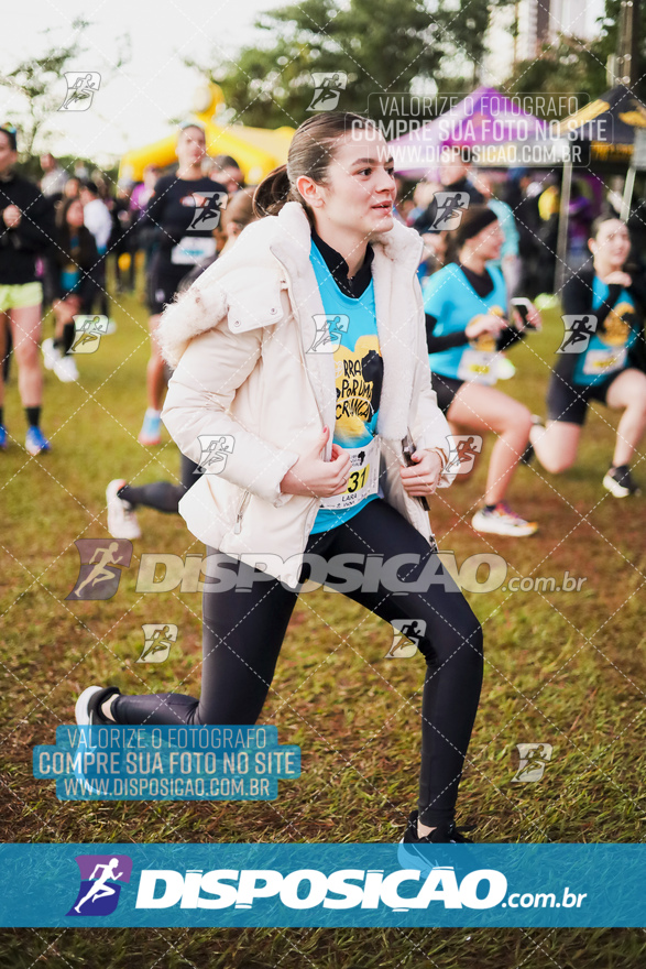 2ª (AMP) Run 