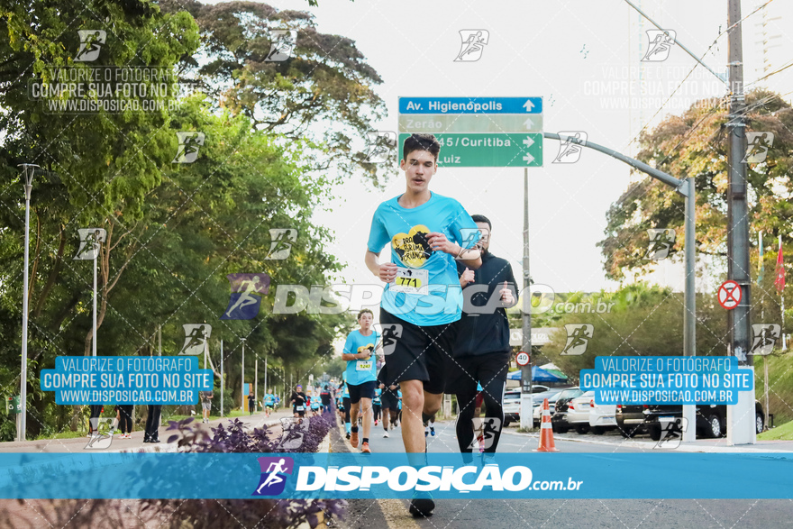 2ª (AMP) Run 