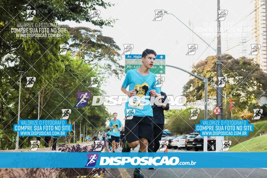 2ª (AMP) Run 