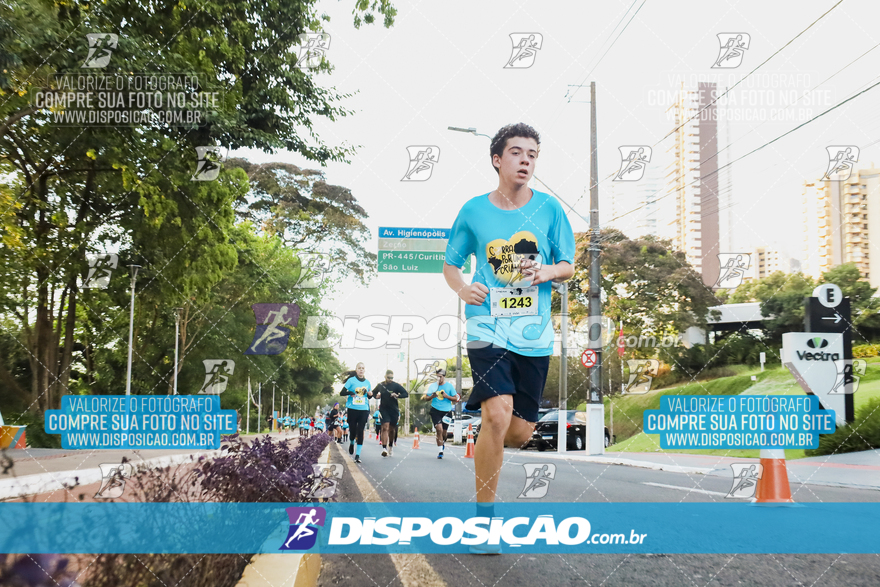 2ª (AMP) Run 